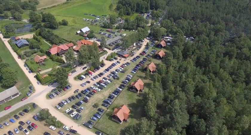 Kiermusy wystawione na sprzedaż