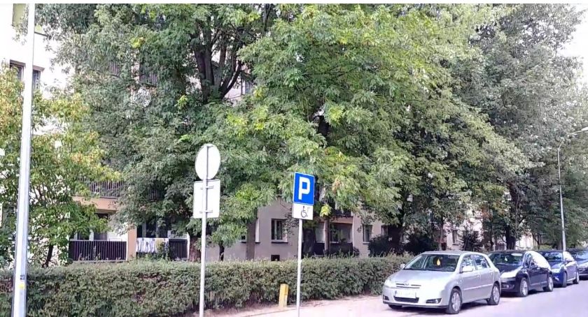 Duże i dorodne drzewa z ulicy Parkowej mogą zostać wycięte