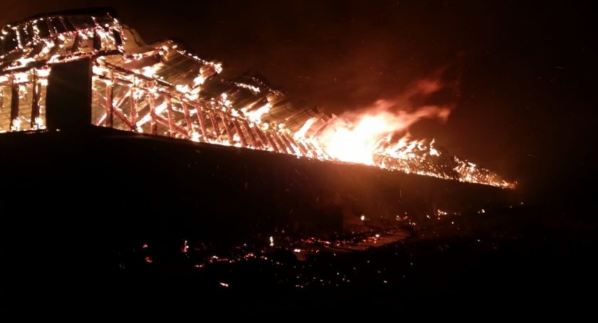Pożar w Nowoberezowie. Żywcem spłonęło 2,5 tys. świń