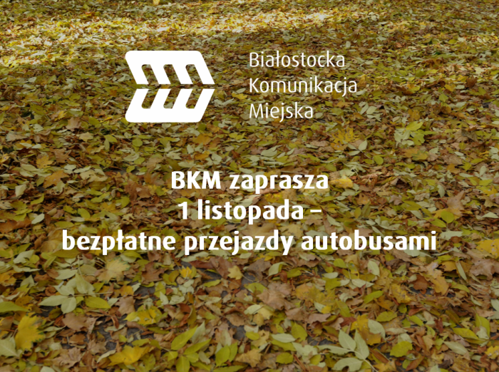 Organizacja komunikacji w dniach 2-3 listopada