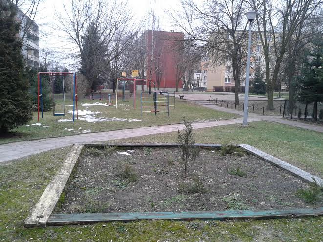 Piaskownica z drzewem w środku