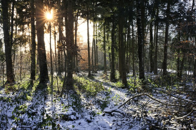 Lecą wióry: A w styczniu bez zmian…