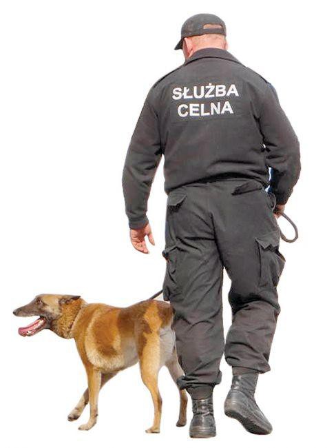Pies przyjacielem celnika