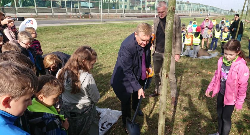 W Białymstoku przybyło 15 nowych platanów klonolistnych