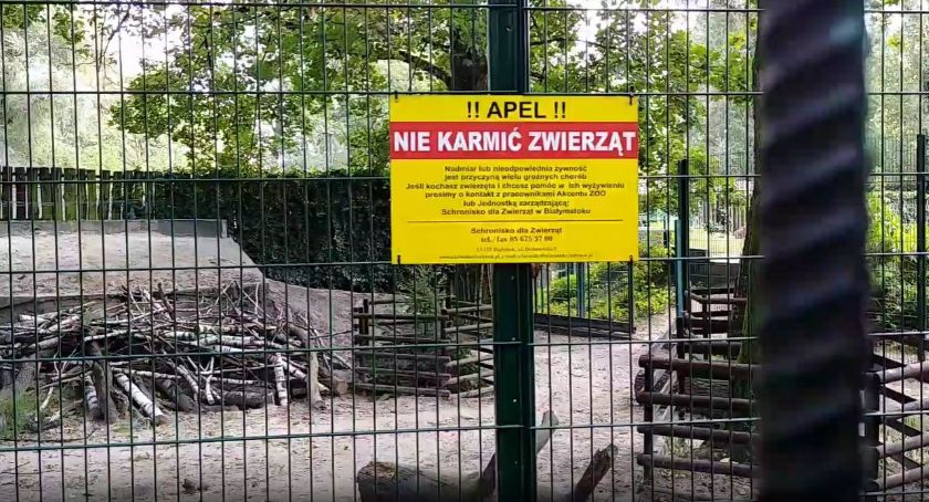 W Akcencie ZOO nie dokarmiamy zwierząt! Koniec. Kropka.