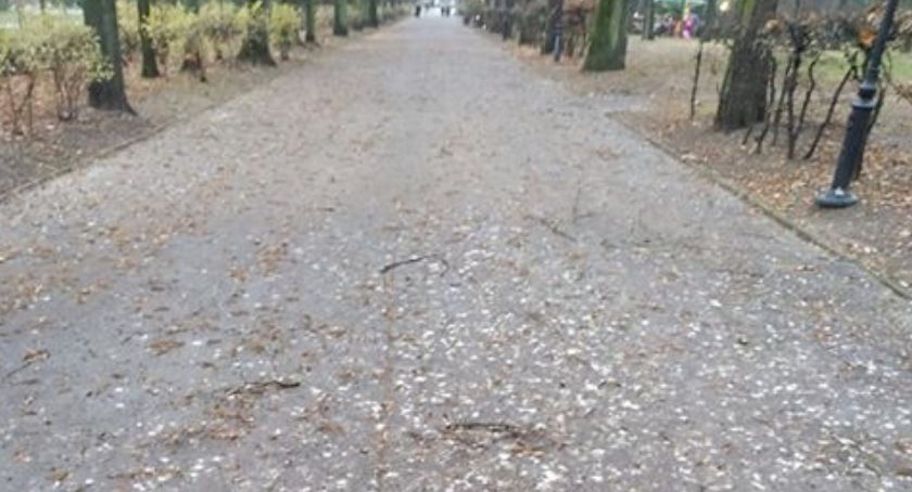 Jak by to powiedzieć… Mamy mocno gówniany problem w Parku Planty