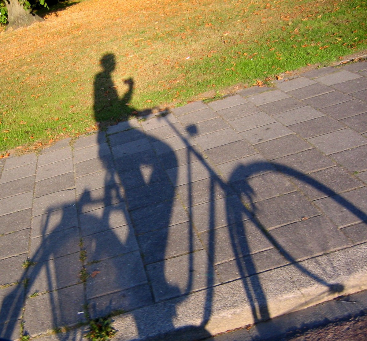Pijany rowerzysta