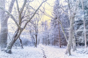 Dobre planowanie pozwala oszczędzać