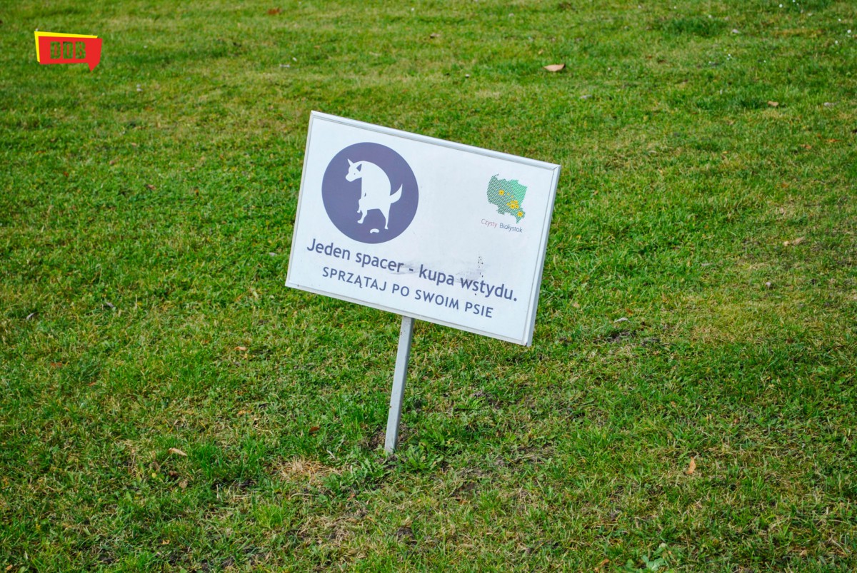 Co przykryje śnieg?