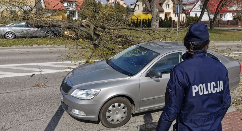 Na Raginisa drzewo przygniotło samochód. Wichury są w całym regionie