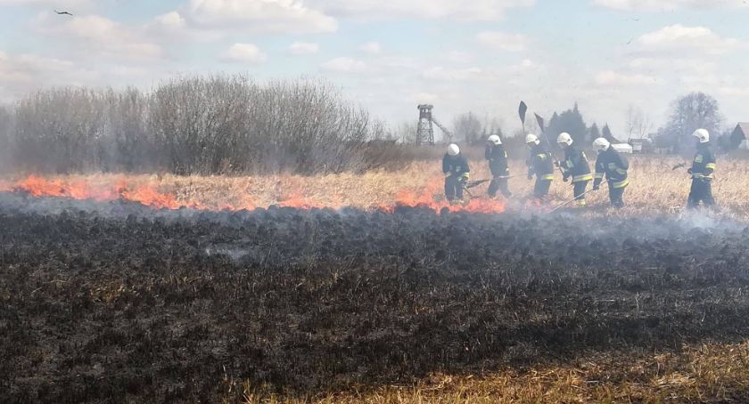 Cały czas płoną bagna w Biebrzańskim Parku Narodowym