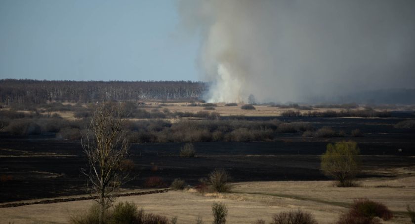 Do strażaków walczących z pożarem na bagnach dotarła pomoc