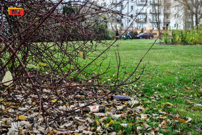 Gorszące sceny nad stawami Mickiewicza
