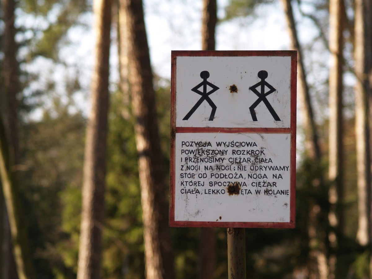 Lecą wióry: Trenuj skłony Służbo Leśna!