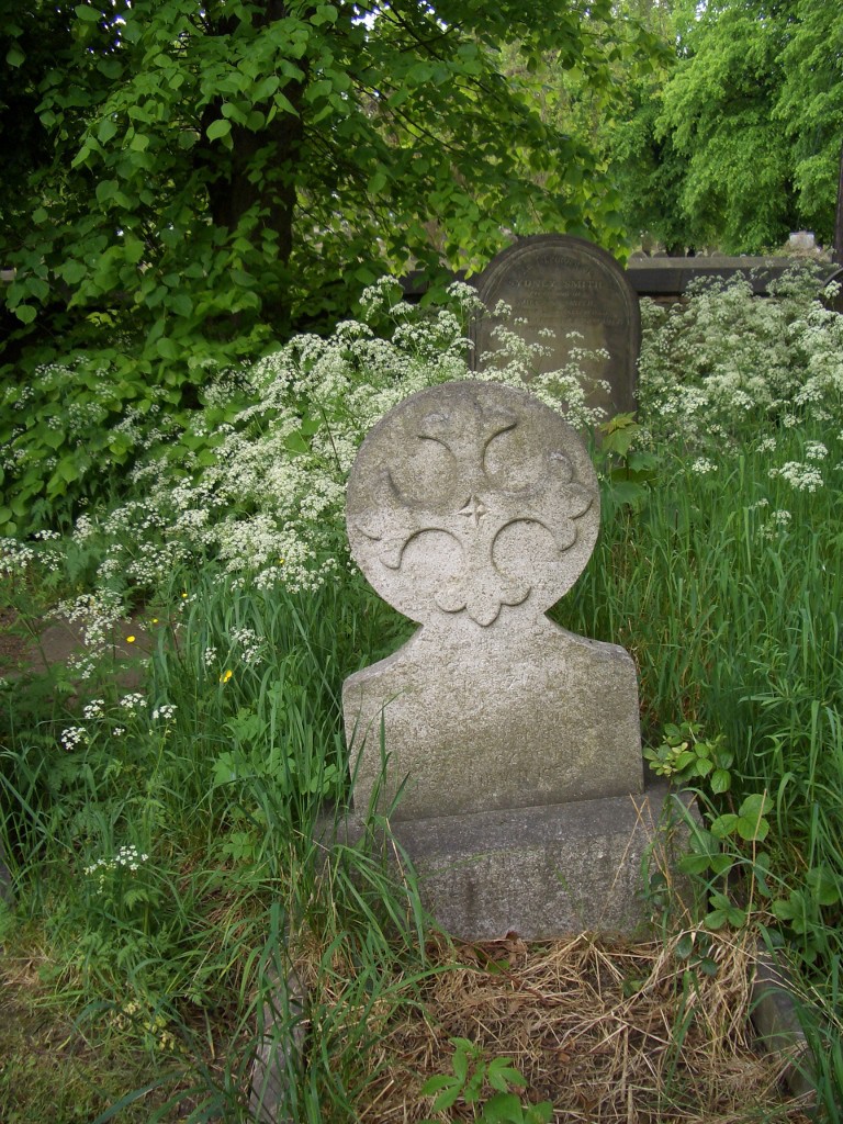 Sprzątają cmentarz żydowski