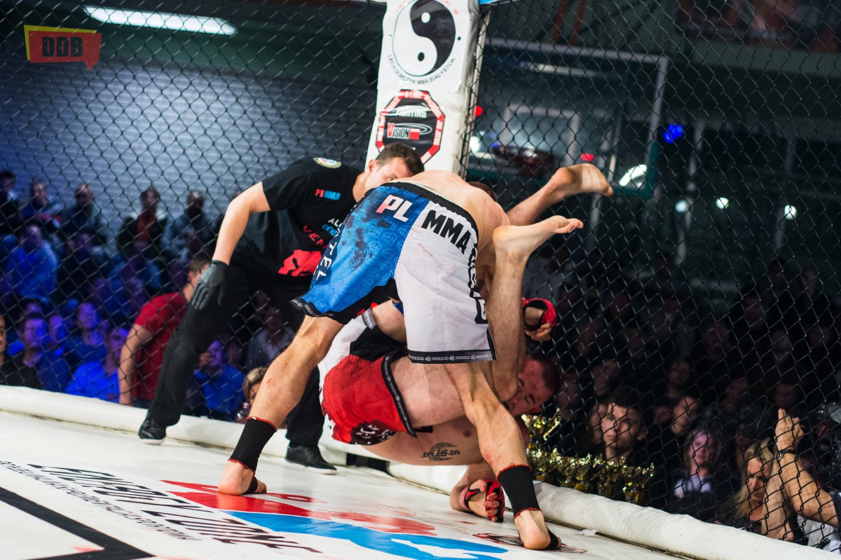 71 edycja Amatorskiej Ligi MMA