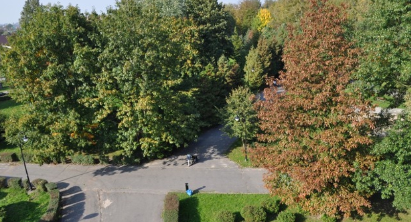 Hajnówka stanęła w szranki z innymi polskimi miastami. Chwali się 