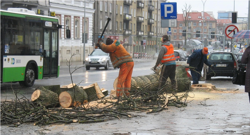 Można sobie kupić drewno opałowe i to od Miasta Białystok