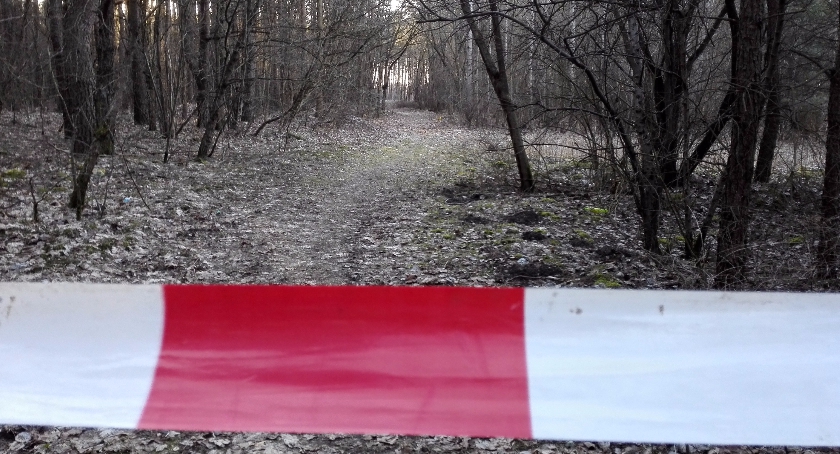 Aktywiści mają dość wycinki drzew w Białymstoku