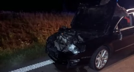 Kolizja pod Uhowem.Zwierzak zginął, samochód uszkodz&hellip;