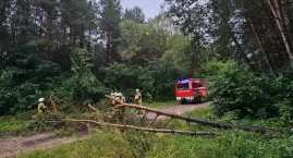 Intensywne opady i silny wiatr: ostrzeżenie meteorol&hellip;