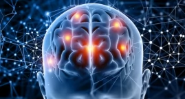 Białystok stolicą polskiej neurologii! Ponad tysiąc lekarzy zjedzie do naszego miasta