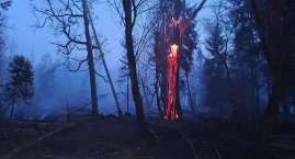 Podlaskie lasy jak zapałka! Leśnicy alarmują: ściółk&hellip;