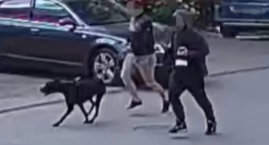 Atak psa na rowerzystkę w centrum. Właściciel trafił&hellip;