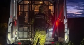 Kolejne zatrzymania na polsko-litewskiej granicy! Po&hellip;