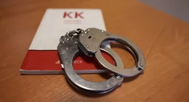 Właściciel nagrał kradzież, pies doprowadził do łupu