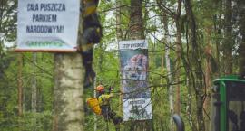 Re:Ekolodzy są gorsi niż kornik. Prawdy i mity o niszczeniu Puszczy Białowieskiej