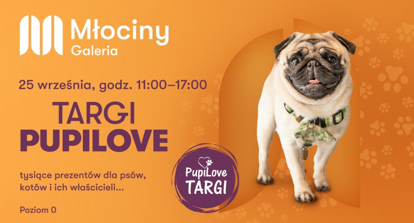 ZWIERZAKI OPANOWUJĄ GALERIĘ MŁOCINY