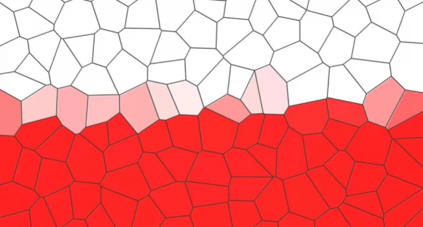 WAŻNE NA WYBORY SAMORZĄDOWE
