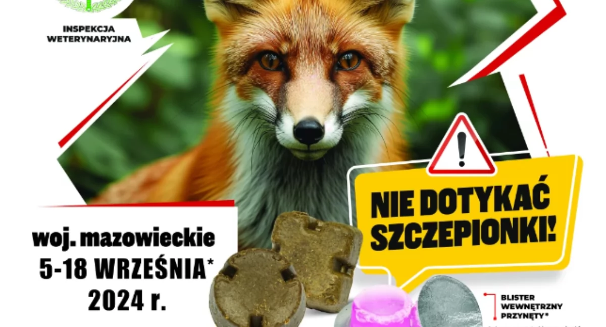 AKCJA SZCZEPIENIA LISÓW WOLNO ŻYJĄCYCH PRZECIWKO WŚCIEKLIŹNIE