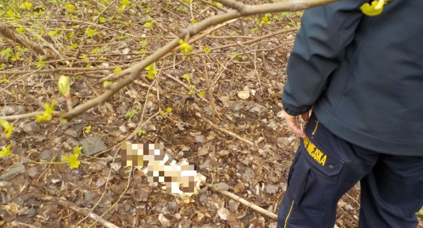 Znaleziono ludzkie szczątki na terenie zakładu utylizacji śmieci