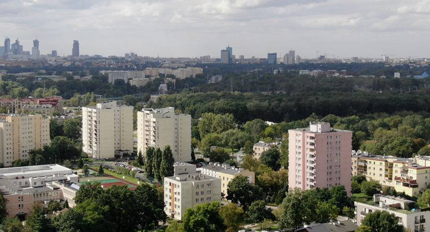 Drzewa przy ulicy Wiernej tworzą zagrożenie dla mieszkańców? Jest wniosek o wykonanie przeglądu