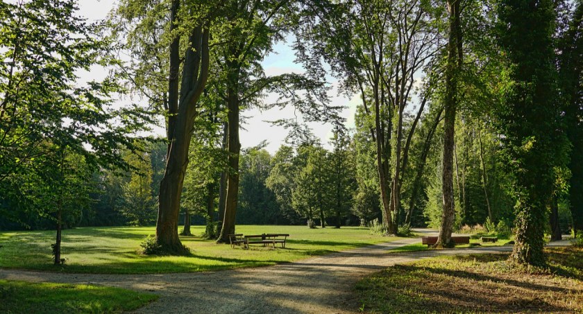 Park Bródnowski powinien być rewitalizowany zgodnie z oczekiwaniami mieszkańców