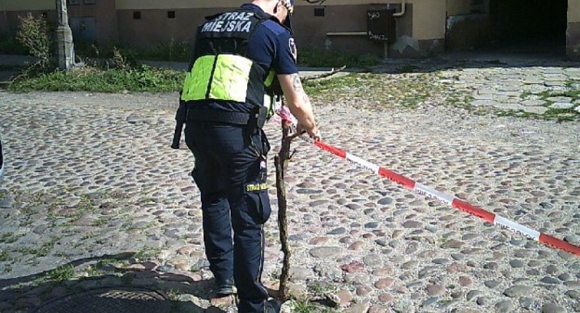 Zapadnięty bruk stwarzał zagrożenie