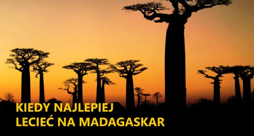Kiedy najlepiej lecieć na Madagaskar?