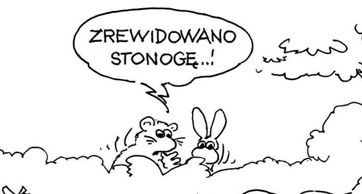 Zrewidowano Stonogę !!!