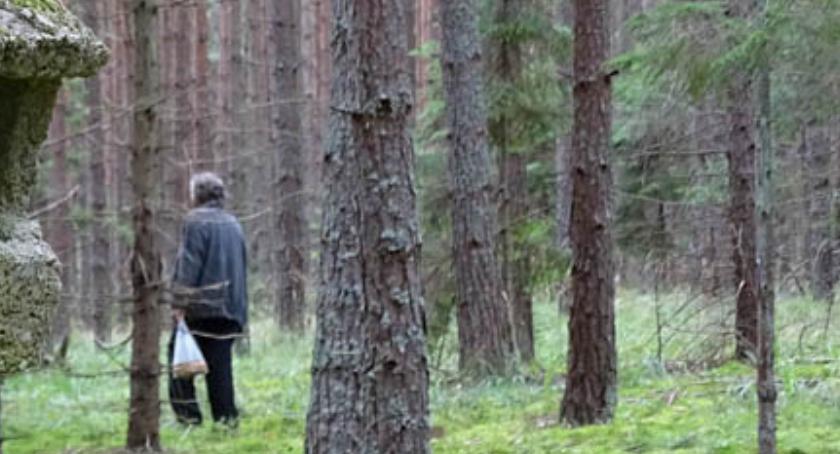 Powrót wielkiej płyty? Ciekawe odkrycie 