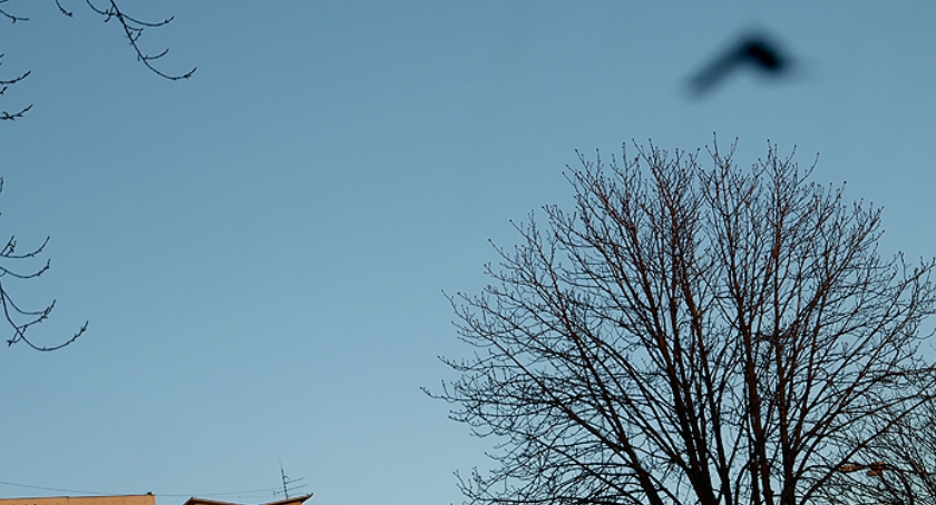 UFO nad Targówkiem?  