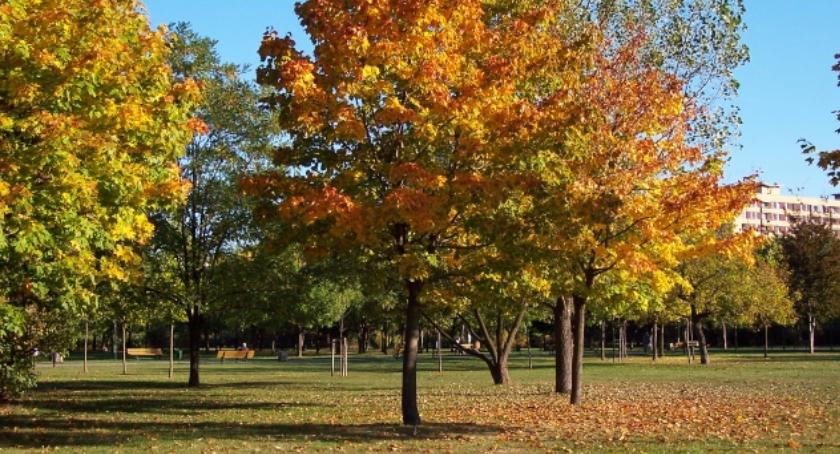 Jaki ma być Park Bródnowski? 