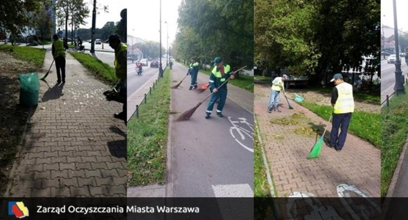 Sprzątanie ścieżek rowerowych. Jak jest w naszej dzielnicy?
