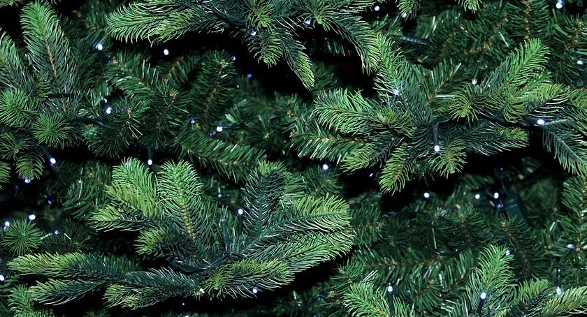 Rusza akcja CIEPŁO Z NATURY - oddajemy choinki do recyklingu