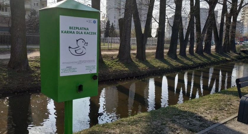 Nie dokarmiaj ptaków-od tego są kaczkomaty