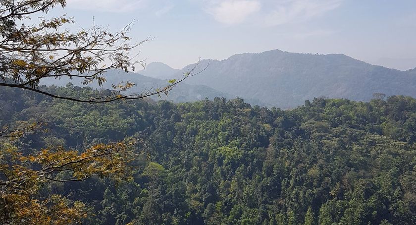Sri Lanka- herbaciana wyspa