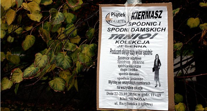 Jesienna kolekcja