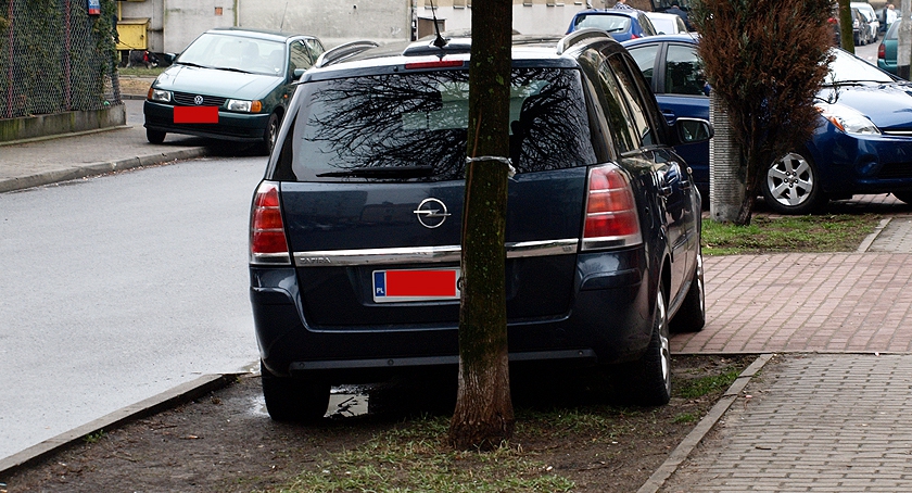 Z tyłu to nie widać trawy...