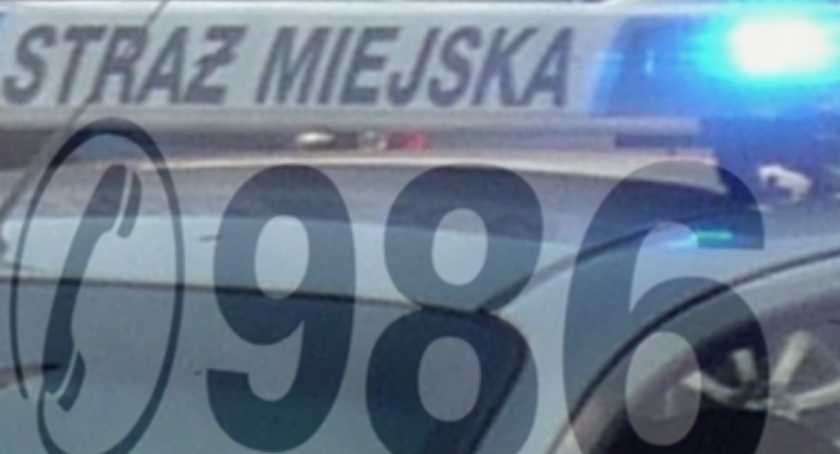 Pijane nastolatki przysnęły na przystanku
